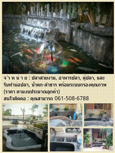 รับทำบ่อปลา น้ำตก ลำธาร | huahin aquarium - หัวหิน ประจวบคีรีขันธ์