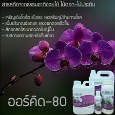 ออร์คิด-80 สารเพิ่มผลผลิตชีวภาพดอกไม้