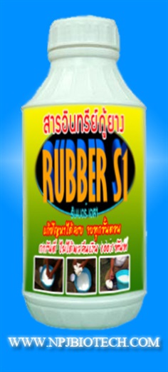 RUBBER S1 สารอินทรีย์กู้ยางจากน้ำฝนได้ 