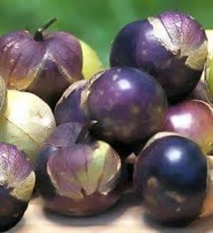 Purple Tomatillo