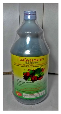 ไมโครเดอม่า Mycroderma