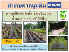 ผ้าเกษตรคลุมดินMarix กำจัดวัชพืชได้ 3ปี น้ำและอากาศผ่านได้