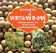 ดอกเฟื่องฟู | สารลำไยดอกเฟื่องฟู - หางดง เชียงใหม่