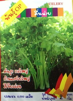 เมล็ดคื่นฉ่าย CELERY