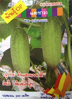 เมล็ดแตงกวา CUCUMBER | Anupong-Seed - โชคชัย นครราชสีมา