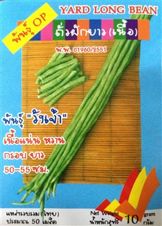 เมล็ดถั่วฝักยาวเนื้อ YARD LONG BEAN