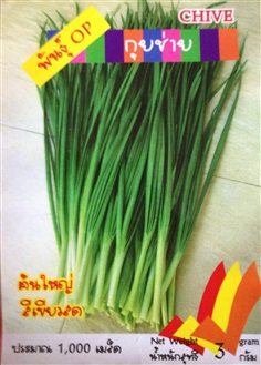 เมล็ดกุยช่าย CHIVE