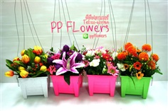 กระถางดอกไม้แขวน  | PP Flowers  - สัมพันธวงศ์ กรุงเทพมหานคร