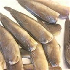 ปลาดุกร้าฟาฏอนี | ปลาดุกร้าฟาฏอนี - เมืองสุราษฎร์ธานี สุราษฎร์ธานี
