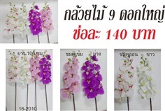 กล้วยไม้ 9 ดอกใหญ่ (16-2010)