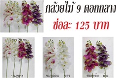 กล้วยไม้ 9 ดอกกลาง (16-2011)