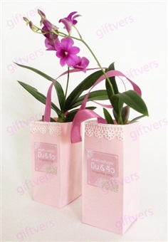 ของชำร่วยต้นกล้วยไม้แคระ | giftvers orchid - เมืองนครปฐม นครปฐม