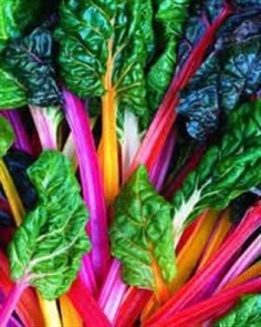 Leaf Beet Rainbow Chard (Organic)