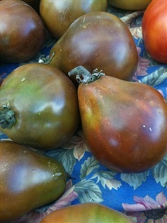 มะเขือเทศทรัฟเฟิลสีดำ - Black Truffle Tomato