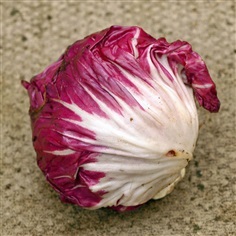 แรดิชิโอพัลล่าโรสซ่า - Palla Rossa Radicchio