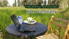 เมล็ดพันธุ์ข้าว ไรซ์เบอร์รี่ ออร์แกนนิค พร้อมส่ง 60บาท/กก.