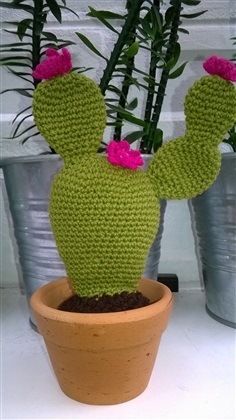 cactus 3"(2)