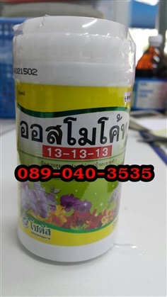 ออสโมโค้ท 13-13-13 เสมอ 200 กรัม