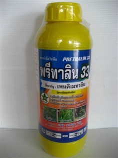 พรีทาลีน33