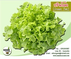 เมล็ดผักสลัดกรีนโอ๊ค (Green Oak Leaf)