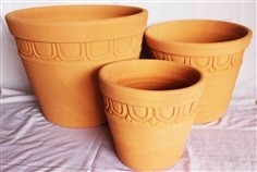 Red Clay Pot (กระถางดินเผาแดง) 