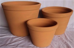 Red Clay Pot (กระถางดินเผาแดง)