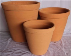 Red Clay Pot (กระถางดินเผาแดง)