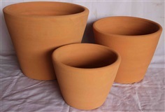 Red Clay Pot (กระถางดินเผาแดง)