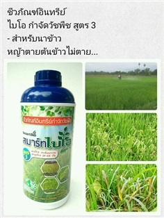 สารสกัดอินทรีย์ กำจัดวัชพืช สูตร3   ในนาข้าว 