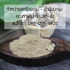 สครับมะรุม เมล็ดมะรุม น้ำมันมะรุม  จาก Panya Natural and Spa