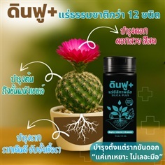 ผงเร่งราก ดินฟู+ วิตามินพืชออร์แกนิค100% ขวดเหยาะ  | ปุ๋ย ยา การันตี - วัฒนา กรุงเทพมหานคร