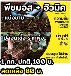 พีชมอส ว.เกษตร จันทบุรี | ร้าน ว.เกษตร จันทบุรี - เมืองจันทบุรี จันทบุรี