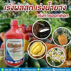 อีทีฟอน เร่งการสุกของผลไม้ เช่น ทุเรียน มะม่วง  | คลินิกพืชคูลเกษตร - ชุมตาบง นครสวรรค์