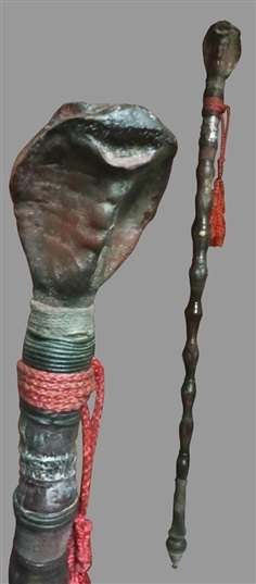 ไม้เท้างู ไม้เท้างูจงอาง ไม้เท้าแกะสลัก