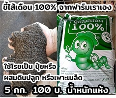 ขี้ไส้เดือน ว.เกษตร จันทบุรี