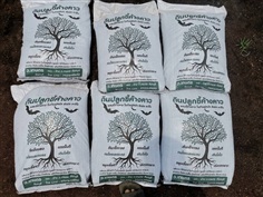 ดินปลูก ว.เกษตร จันทบุรี