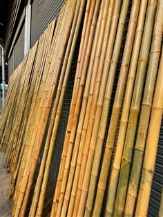 ไม้ไผ่แช่น้ำยากันมอด 100 % ขนาด 4 - 5 ซม. ยาว 2 ม.