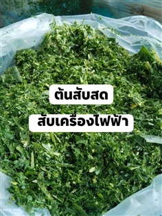 หญ้าเนเปียร์สด ขายเฉพาะส่วนยอดสับด้วยเครื่องไฟฟ้าส