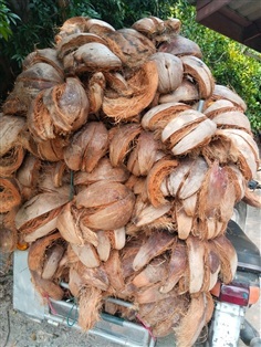 กาบมะพร้าว เพื่องานเกษตรและงานศิลปะ