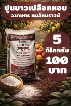 ปูนขาวเปลือกหอย แบล็คบราวน์ 5 กก