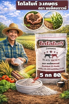 โดโลไมท์ เเบล็คบราวน์ 5 กก