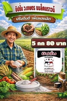 ยิปซั่ม แบล็คบราวน์ 5 กก