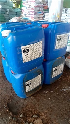 หัวเชื้ออีเอ็ม ว.เกษตร แกลลอน 30 ลิตร