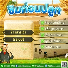 ข้าวสาร ข้าวเจ้าสีม่วงเข้ม ไรซ์เบอรี่ คูลเกษตร