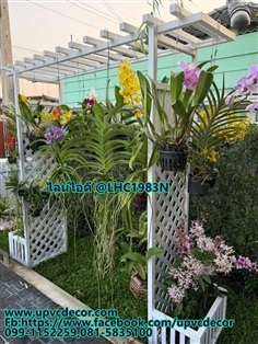 ซุ้มระแนงแขวนกล้วยไม้ ซุ้มปลูกพวงคราม ซุ้มupvc