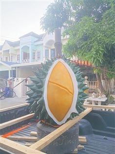 กว้าง100ซม.สูงของทูเรียน120ซม.ฐานถึงก้าน200ซม.