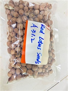 เม็ดบัวตากแห้ง เกรด A-B นำเข้าจากจีน ราคาส่ง