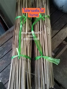 ไม้ดามต้นไม้ราคาถูก