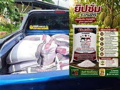 ยิปซั่ม ว.เกษตร ตราแบล็คบราวน์