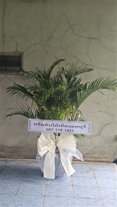 พวงหรีดต้นไม้